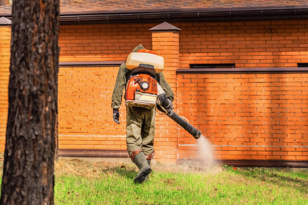 Bed Bug Clearance Verification and Documentation in Donald